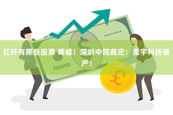 杠杆有哪些股票 唏嘘！深圳中院裁定：柔宇科技破产！