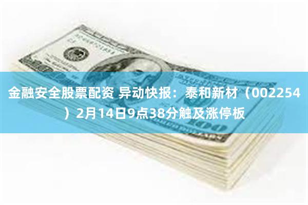 金融安全股票配资 异动快报：泰和新材（002254）2月14日9点38分触及涨停板