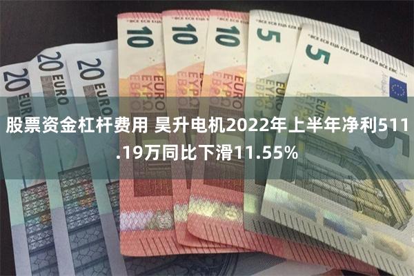 股票资金杠杆费用 昊升电机2022年上半年净利511.19万同比下滑11.55%