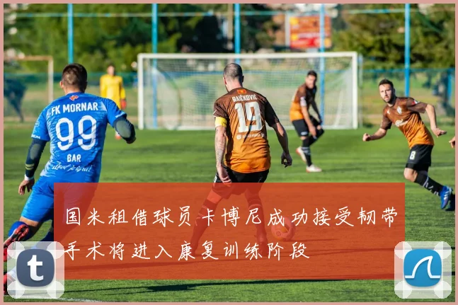 国米租借球员卡博尼成功接受韧带手术将进入康复训练阶段