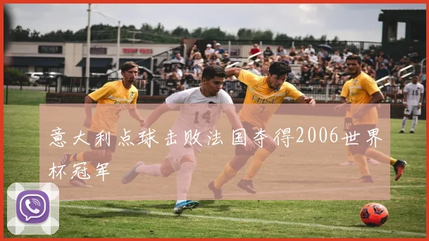 意大利点球击败法国夺得2006世界杯冠军